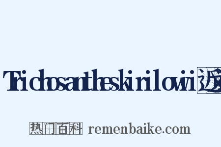 Trichosantheskirilowii近义词是什么意思的图片
